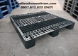 Cung cấp pallet nhựa Cà Mau giá sỉ, sản phẩm siêu bền 