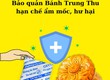 Dùng gói hút Oxy để bảo quản bánh Trung thu 