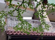 Nhà 3 lầu  4,1x22  5 phòng ngủ lớn full NT cao cấp khu Vip Phạm Ngọc...