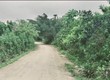 Quá rẻ chưa đến ...trăm ngàn một mét đất thổ cư bám đường khu dân cư Đoàn Kết...