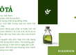 Biogreen sử dụng công nghệ sinh học lên men thành công chiết xuất trà xanh 