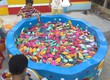 Bể câu cá bằng nhựa composite 