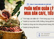 Quản lý các hình thức mua bán hàng nông sản cafe, tiêu 