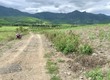 Cần bán lô đất sổ: 44646m2 Giá: 1,3tỷ/ha  3,5 ha  Liên hệ: 0822211968 Minh Nhật 