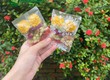 Top 8 loại trà thảo mộc siêu ngon giúp giải nhiệt ngày hè 