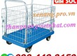 Xe đẩy hàng sàn nhựa có lồng thép 300kg 