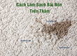 Cách Làm Sạch Bãi Nôn Trên Thảm 