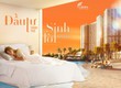 Suất nội bộ Libera Nha Trang,căn hộ FUll nội thất,từ 1.2tỷ,tặng PQL 36tháng   nhiều ưu đãi...
