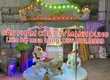 Đồ chơi trẻ em: đu quay thú nhún/ đu quay ngựa/ đu quay nữ hoàng/ xe lửa/ nhà...