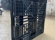 Pallet nhựa cũ Kon Tum sử dụng hiệu quả kho bãi đại lý thu mua nông sả 