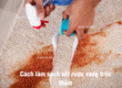 Cách Làm Sạch Vết Rượu Vang Trên Thảm 