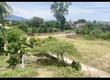 CẢ NHÀ ƠI 