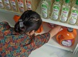 Cần Tuyển 1 chị dọn dẹp cửa hàng 0777060100 