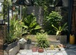 Chính chủ cần bán nhà phố Ehome 4 giá tốt nhất khu, nhà mới đẹp, vị trí đẹp,...