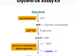Glycerol GK Assay Kit của Megazyme 