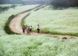 Bán nhà phố, khách sạn mini tại cao nguyên Mộc Châu 