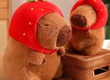 Piny store ra mắt sản phẩm gấu bông kết nối   biểu tượng của sự sáng tạo...