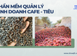 Phần mềm mua bán nông sản Cafe, Tiêu 