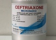 Ceftriaxone 98   Giải Pháp Cho Tình Trạng Lờn Cefo Liều Cao 