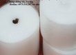 Màng pe foam tại đồng nai 
