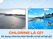 Chlorine là gì  Sử dụng chlorine khử khuẩn có lợi và hại gì 