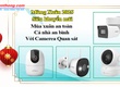 Mùa Xuân An Toàn   Cả Nhà An Bình với Camera Quan Sát 
