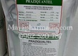 Praziquantel 98   trị nội ngoại ký sinh trùng 