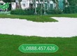 Mini Green Golf Cỏ Thật   Chân thật hơn bao giờ hết 