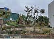 Bán Lô A1 26 Hà Khánh A,P.Cao Xanh. DT:60m2,MT:5m.H:Tây Nam 
