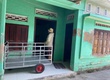 Có cái nhỏ Hà Liên   Ninh Hà, Ninh Hòa cần bán, giá quá rẻ 299tr bằng...