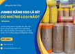 Jumbo băng keo là gì  Có những loại nào 