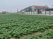 ☎ Chính chủ cần sang nhượng lô đất 94m2 nằm ngay sát mặt biển sẵn thổ cư sổ...