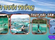 Lưới nuôi trồng thủy hải sản   Giải pháp hiệu quả cho ngành nuôi trồng 