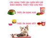 Thức ăn cho mèo dưới 1 tuổi   Hướng dẫn chi tiết để chăm sóc thú cưng...