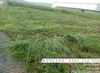 Dịch vụ Thuê Cắt c.ỏ, phát hoang giá rẻ trọn gói ở Đồng Nai, Long An 