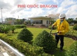 Dịch vụ cắt cỏ, chăm sóc cây xanh định kỳ mỗi tháng tại Đồng Nai 