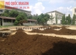 Đất màu trồng cây giá rẽ, giao hàng toàn quốc nhanh chóng tiện lợi 