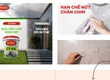 Chống Thấm Kova   Hành trình tìm kiếm giải pháp với bức tường loang lổ. 