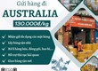 Gửi hàng đi Úc   Tiến Việt Express 
