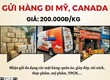 Gửi hàng đi USA, Canada   Tiến Việt Express 