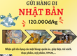Gửi hàng đi Nhật Bản   Tiến Việt Express 