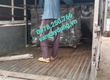 Ván cốp pha phủ phim giá rẻ tại Vĩnh Long 