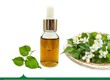 Diệp Cá    Cây Vàng  Trong Làng Dưỡng Da 