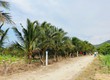 Bán Vườn cây ăn quả tại Diên Thọ, Diên Khánh  602,3m2 Giá 900 triệu Lh em: 0976396883...