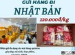 Gửi hàng đi Nhật Bản   Tiến Việt Express 
