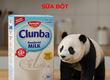 Quy Trình Nhập Khẩu Sữa Bột Mới Nhất 