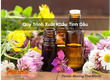 Quy Trình Xuất Khẩu Tinh Dầu 