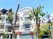 Nhà Đẹp 6x20m Hầm 3 Tầng Đường 65 Tân Quy Đông Quận 7. giá Tốt nhất khu vực...
