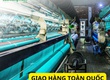 Sản xuất lưới HDPE theo yêu cầu 