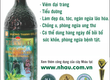 Nước Ép Trái Nhàu  Noni Juice   Công Dụng Cuả Nước Ép Trái Nhàu 